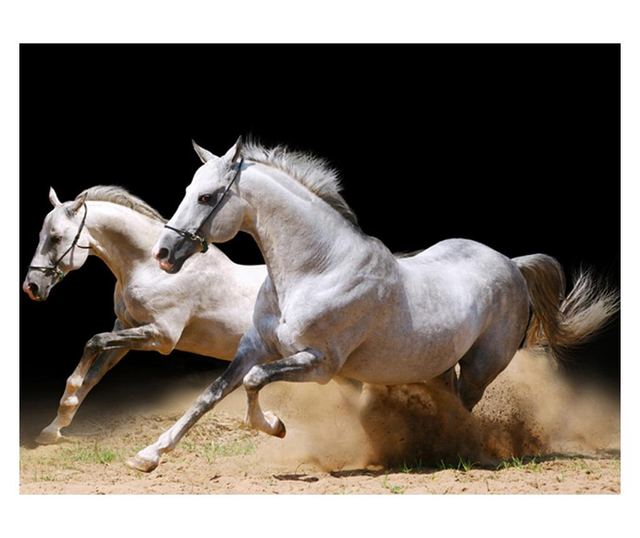 Foto tapeta Galloping Horses On The Sand 193x250 cm