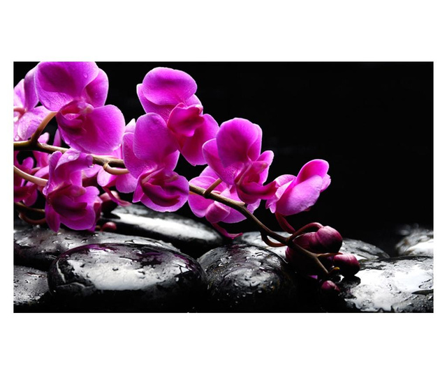 Relaxing Moment: Orchid Flower And Stones Fotótapéta 270x450 cm