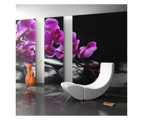 Φωτοταπετσαρία Relaxing Moment: Orchid Flower And Stones 270x450 cm
