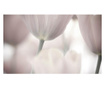 Foto tapeta Tulips Fine Art Black And White 270x450 cm