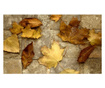 Foto tapeta Harbinger Of Autumn 270x450 cm