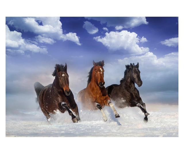 Foto tapeta Horses In The Snow 280x400 cm