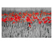 Fototapeta Red Poppies On Black And White Background 270x450 cm