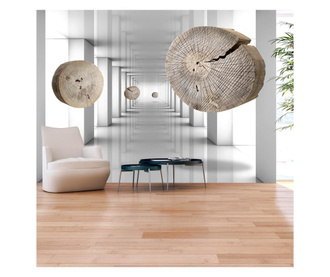 Fototapeta Inventive Corridor 105x150 cm
