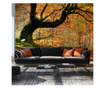 Foto tapeta Autumn, Forest And Leaves 270x450 cm