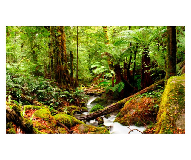 Fototapeta Rainforest 270x450 cm