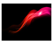 Fototapeta Abstract Colorful Jellyfish 231x300 cm
