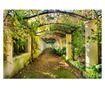 Foto tapeta Pergola 245x350 cm