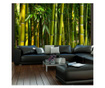 Fototapeta Asian Bamboo Forest 231x300 cm