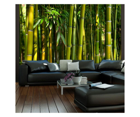 Foto tapeta Asian Bamboo Forest