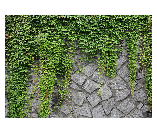 Fototapeta Green Wall 210x300 cm
