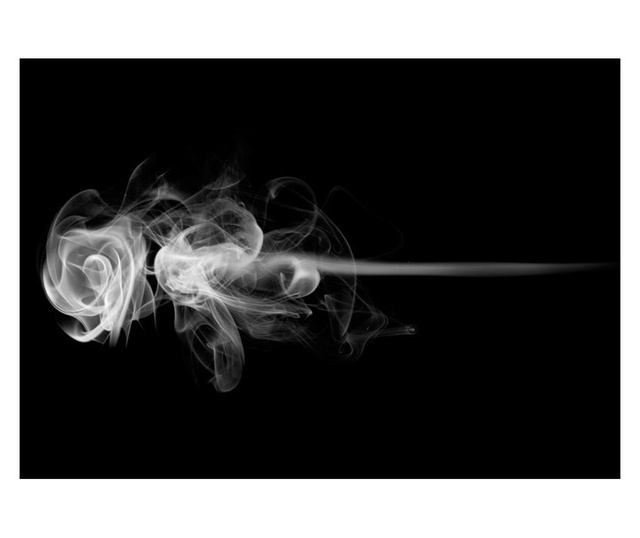 Fototapeta Rose Smoke 270x350 cm