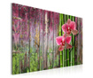 Set 3 tablouri Artgeist, Flower and bamboo, canvas netesut
