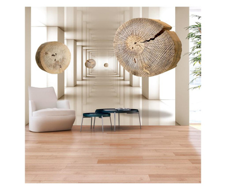 Foto tapeta Flying Discs Of Wood 280x400 cm