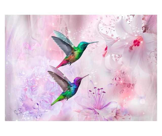 Foto tapeta Colourful Hummingbirds Purple 245x350 cm