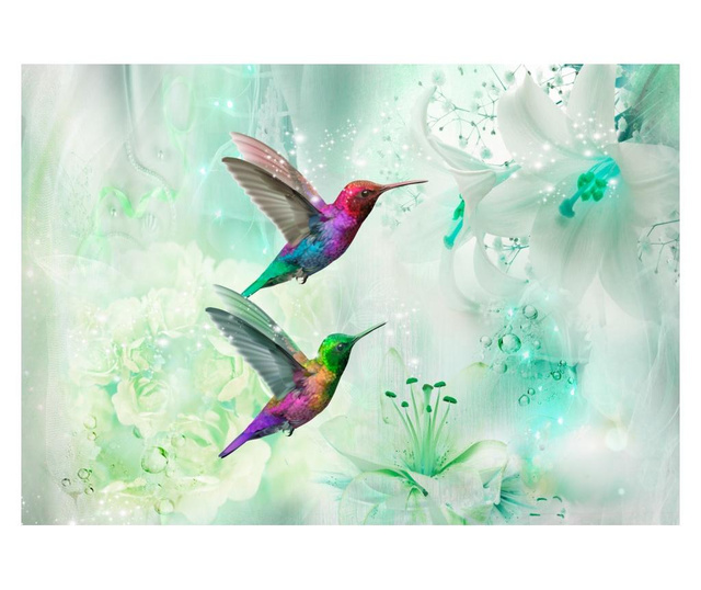 Fototapeta Colourful Hummingbirds Green 175x250 cm