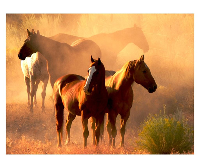 Fototapeta Wild Horses Of The Steppe 270x350 cm