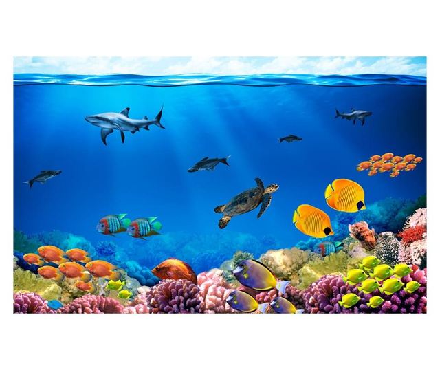Foto tapeta Underwater Kingdom 70x100 cm