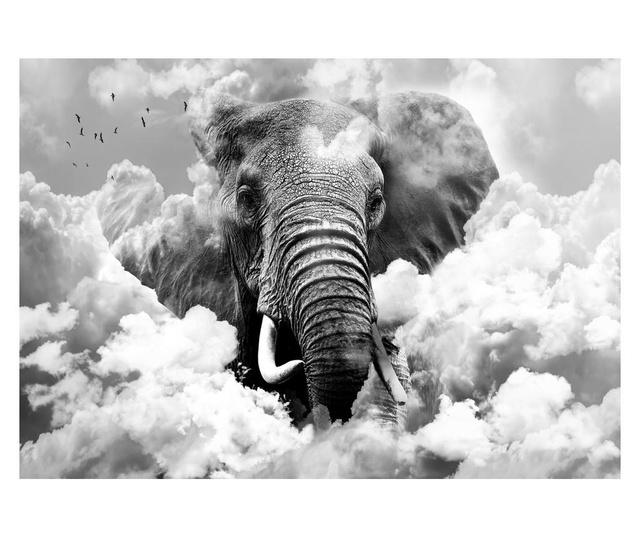 Fototapeta Elephant In The Clouds Black And White 245x350 cm