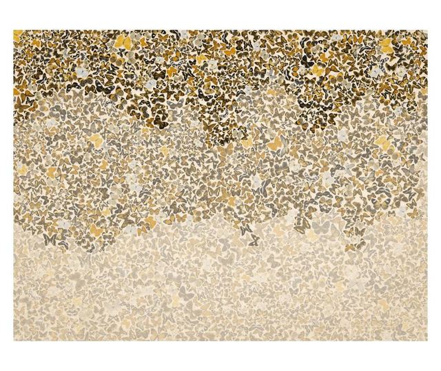 Foto tapeta Art And Butterflies 231x300 cm