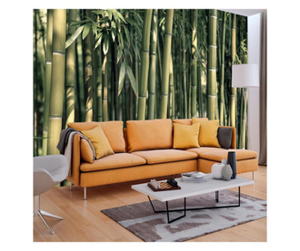 Foto tapeta Bamboo Exotic 280x400 cm