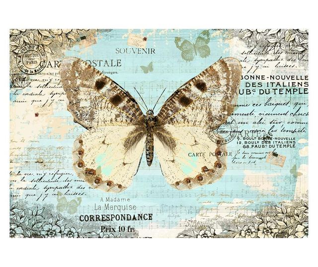 Foto tapeta Postcard With Butterfly 105x150 cm