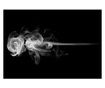 Fototapeta Rose Smoke 154x200 cm