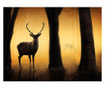 Fototapeta Deer In His Natural Habitat 270x350 cm