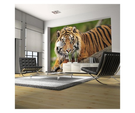 Φωτοταπετσαρία Sumatran Tiger 154x200 cm