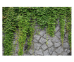 Fototapeta Green Wall 140x200 cm