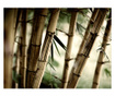 Foto tapeta Fog And Bamboo Forest 231x300 cm