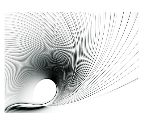 Fototapeta Abstract Fan 309x400 cm