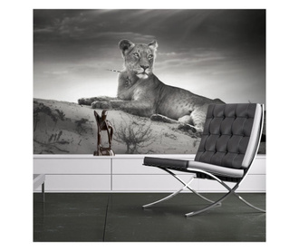 Foto tapeta Black And White Lioness 270x350 cm