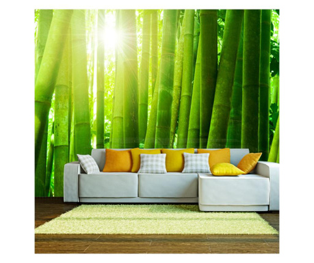 Foto tapeta Sun And Bamboo