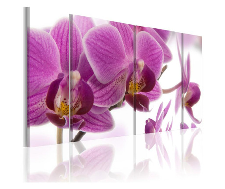 Set 4 slik Marvelous orchid
