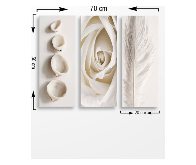 Rose, Shells & Feather 3 db Kép 20x50 cm