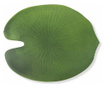 Set 6 suporturi pentru farfurii Villa D'este Home Tivoli, Jungle, PVC, 36x47 cm, verde