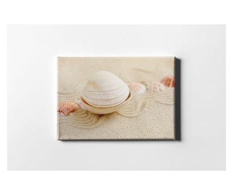 Slika Sea Shell 60x90 cm