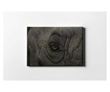 Slika Elephant Eye