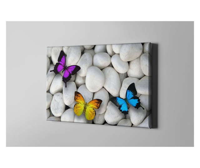 Slika White Stones And Butterflies 40x60 cm