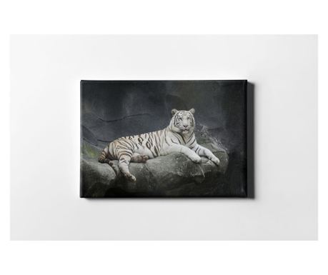 Slika The White Tiger 60x90 cm
