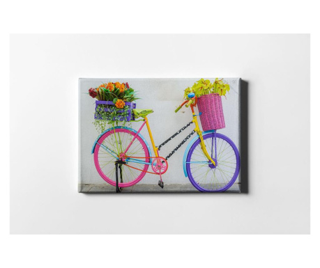 Картина Colorful Bicycle