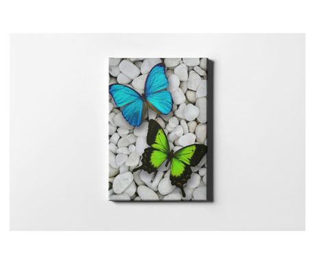 Slika Butterfly And Stones 40x60 cm