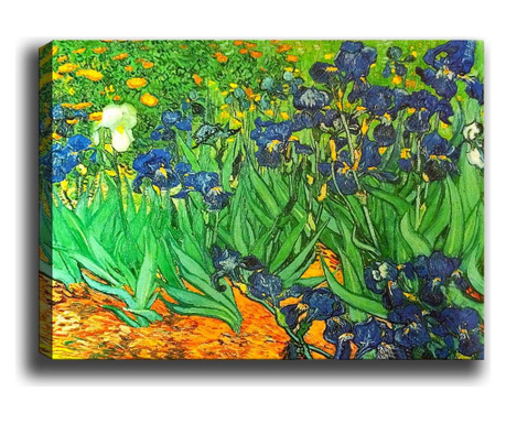 Irises Garden Kép 40x60 cm