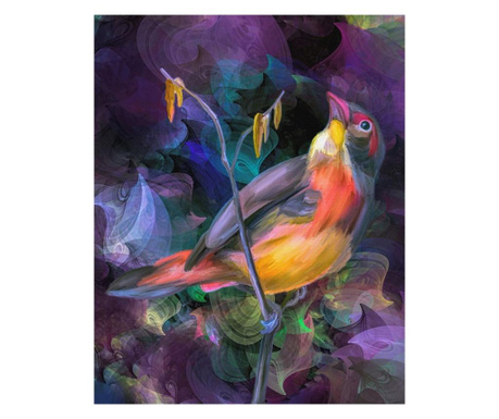 Tablou Canvas, Privighetoare, 45 x 60 cm, Rama lemn, Multicolor  45x60 cm