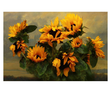 Tablou Canvas, Floarea Soarelui, 80 x 50 cm, Rama lemn, Multicolor  50x80 cm