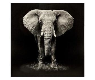 Картина върху платно Elefant Black, 100x100 cm