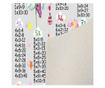 Covor Homefesto, 140x220 cm, multicolor