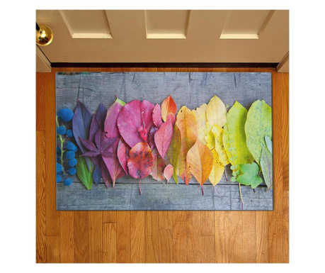 Covoras de intrare Oyo Home, 38x58 cm, multicolor
