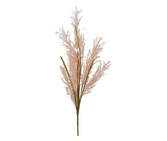 Creanga artificiala, Pampas, culoare natur, 75 cm